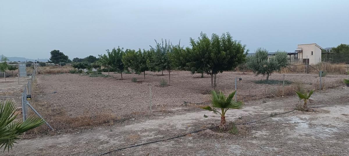 Terreno en venta en Monforte del Cid, Alicante photo 4
