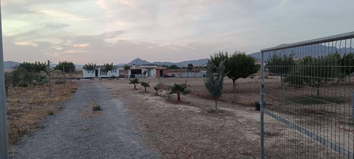 Terreno en venta en Monforte del Cid, Alicante photo 5