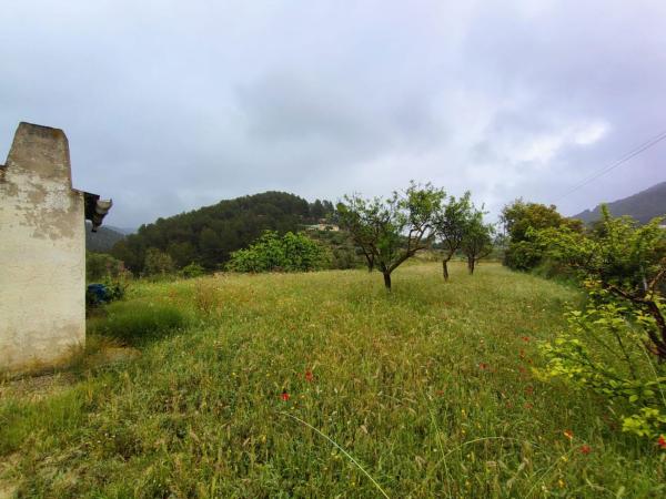 Terreno en Teix, 24, Torremanzanas thumbnail 1