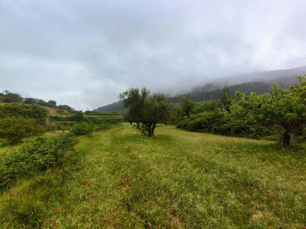 Terreno en venta en Torremanzanas, Alicante photo 3