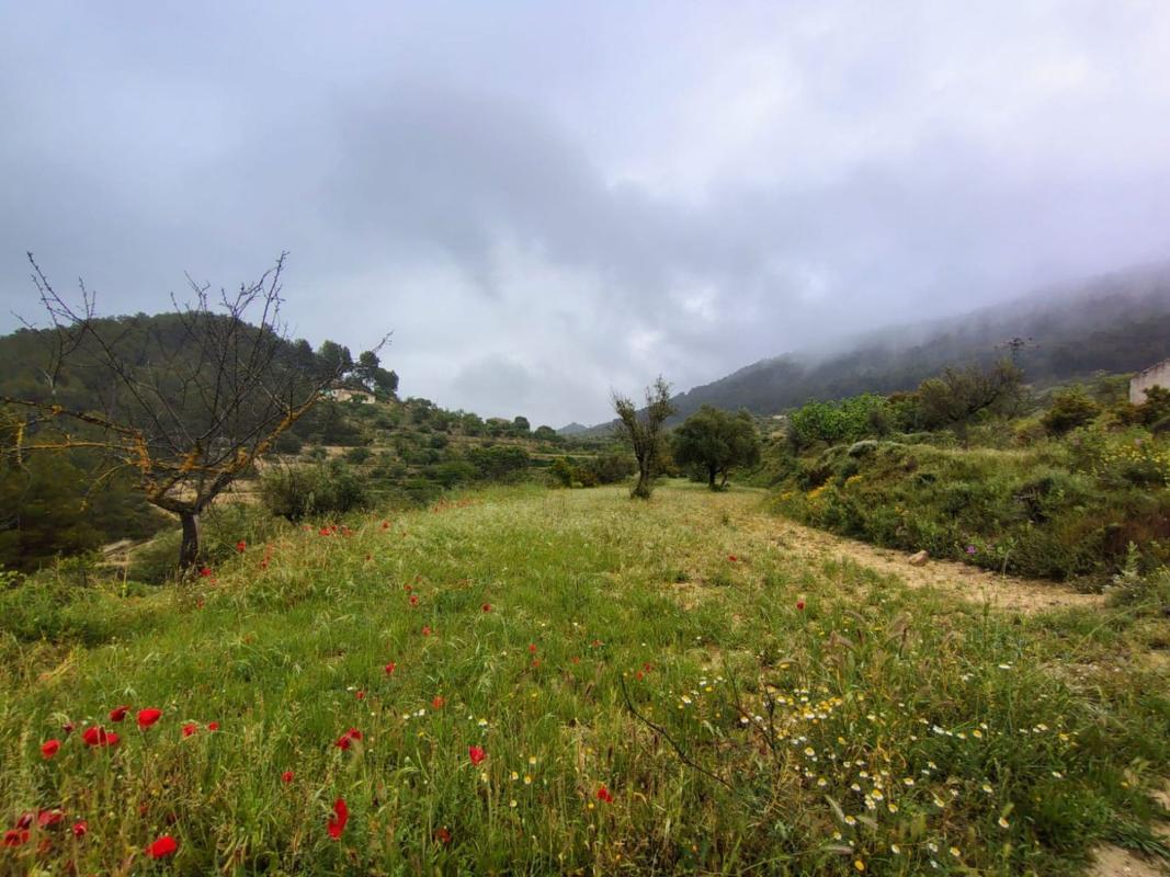 Terreno en venta en Torremanzanas, Alicante photo 5