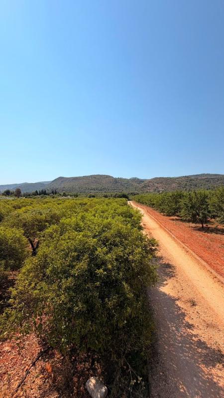 Terreno en venta en Benidoleig, Alicante photo 4
