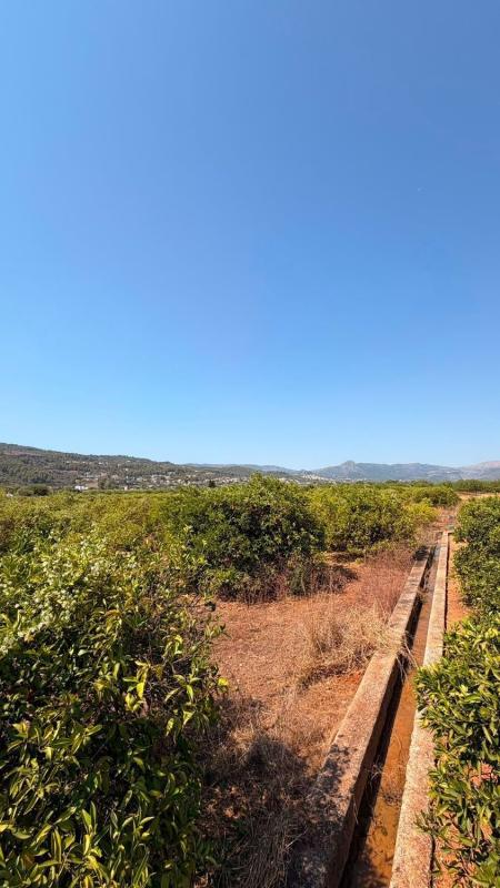 Terreno en venta en Benidoleig, Alicante photo 5