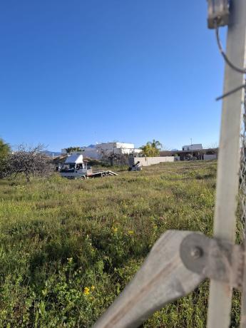 Terreno en forment s/n, San Antón, Alicante / Alacant photo 1