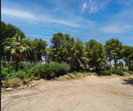 Terreno en Pinar de Advocat-Cometa, Moraira photo 1