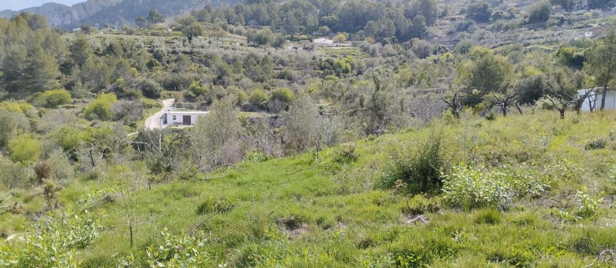 Działka na sprzedaż w Val de Gallinera, Alicante photo 1