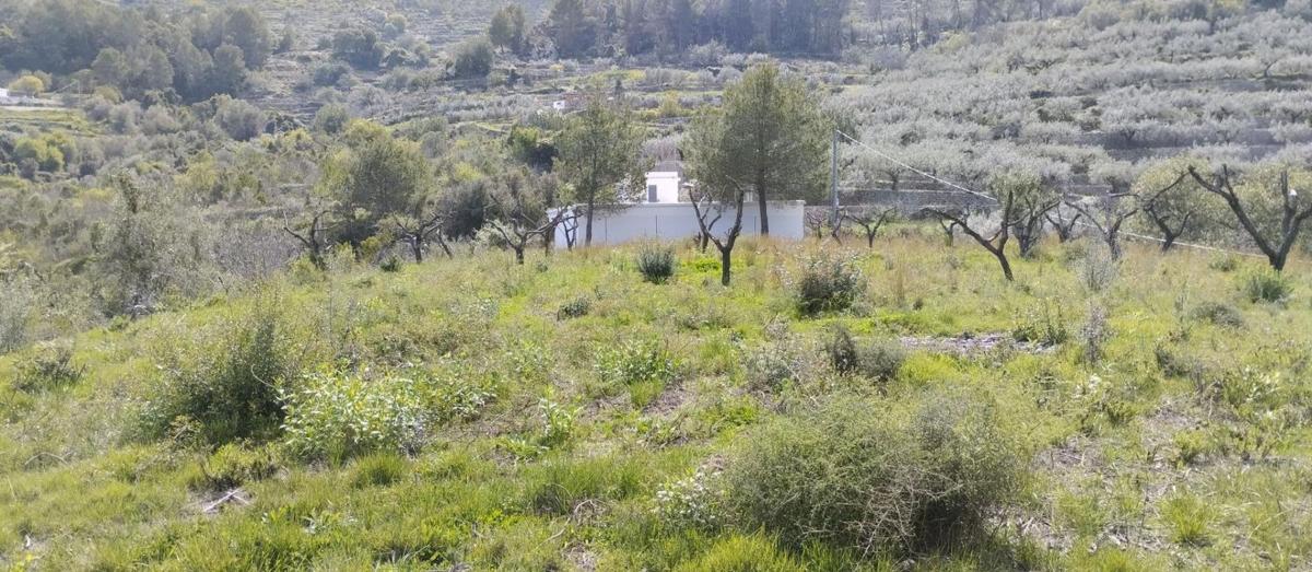 Działka na sprzedaż w Val de Gallinera, Alicante photo 2