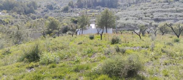 Terreno en Vall de Gallinera photo 2