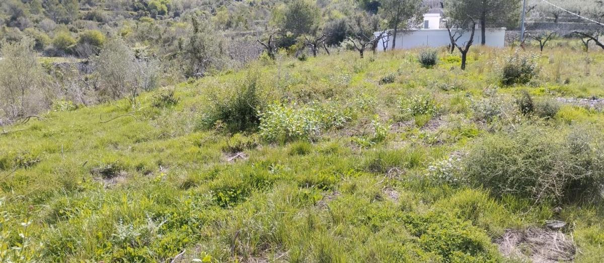 Działka na sprzedaż w Val de Gallinera, Alicante photo 3