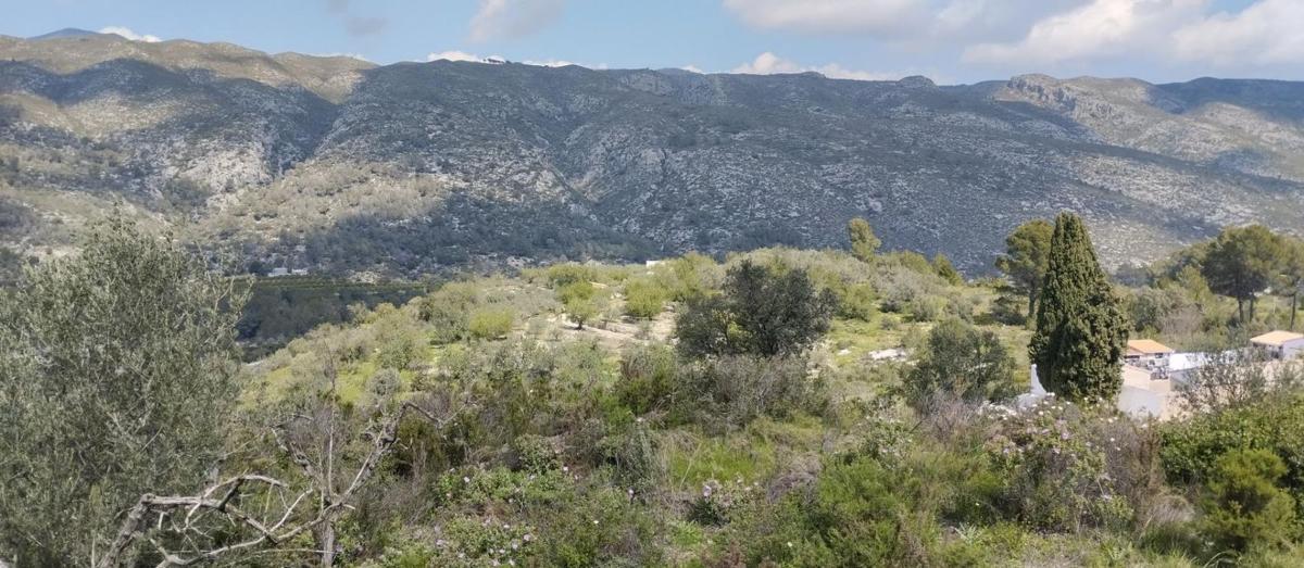 Działka na sprzedaż w Val de Gallinera, Alicante photo 4