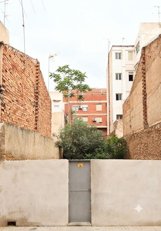 Działka na sprzedaż w Elche / Elx, Alicante photo 1