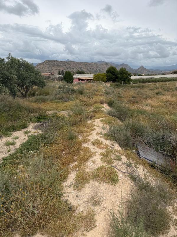 Terreno en venta en Agost, Alicante photo 5