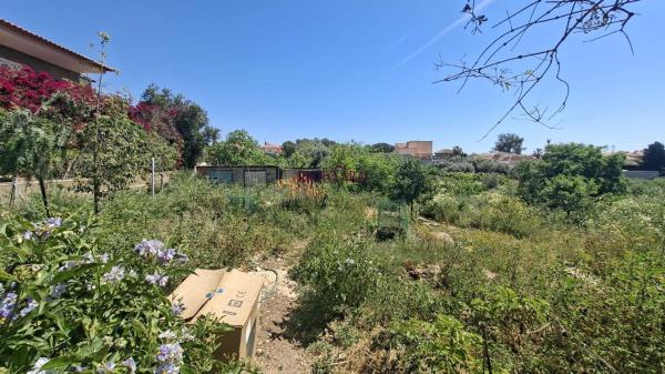 Продаётся загородный участок в  Finca rústica en Partida Canastel Polig e, Villamontes-Boqueres, San Vicente del Raspeig , Сан-Висенте-дель-Распейг photo 2