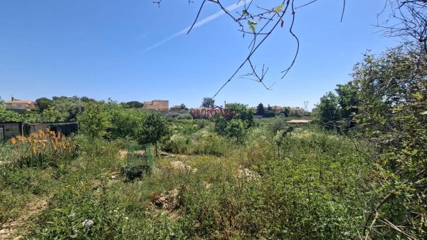 Продаётся загородный участок в  Finca rústica en Partida Canastel Polig e, Villamontes-Boqueres, San Vicente del Raspeig , Сан-Висенте-дель-Распейг photo 4