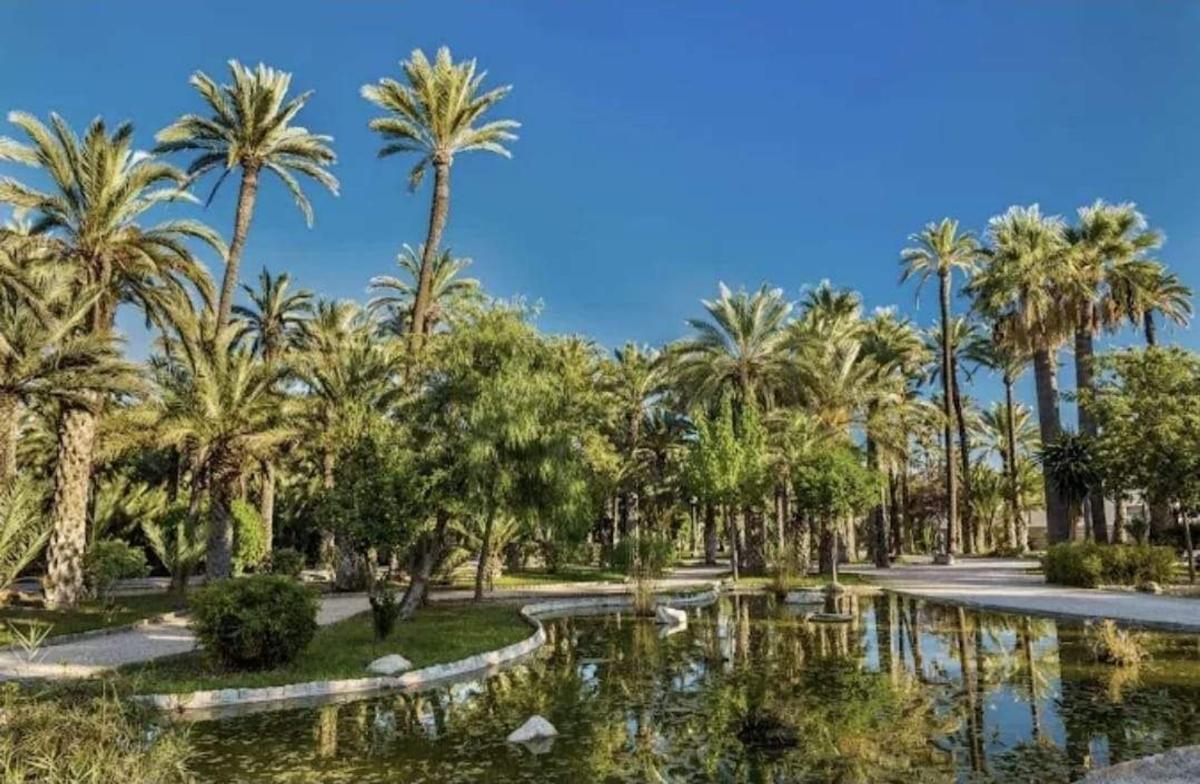 Venta de piso en Piso en Carrús Oeste, Elche / Elx, Elche / Elx
photo 1