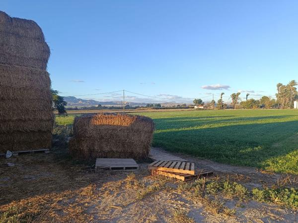Продаётся загородный участок в  Finca rústica en Cv-8630, 1, Crevillente , Кревильенте photo 3