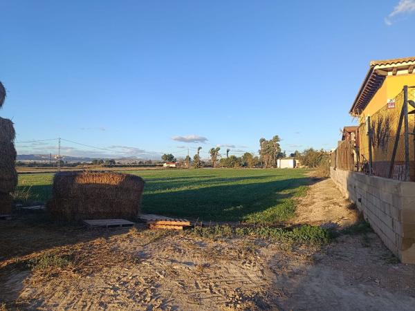 Продаётся загородный участок в  Finca rústica en Cv-8630, 1, Crevillente , Кревильенте photo 4