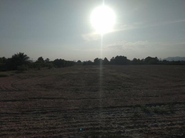 Terreno en Crevillente photo 4