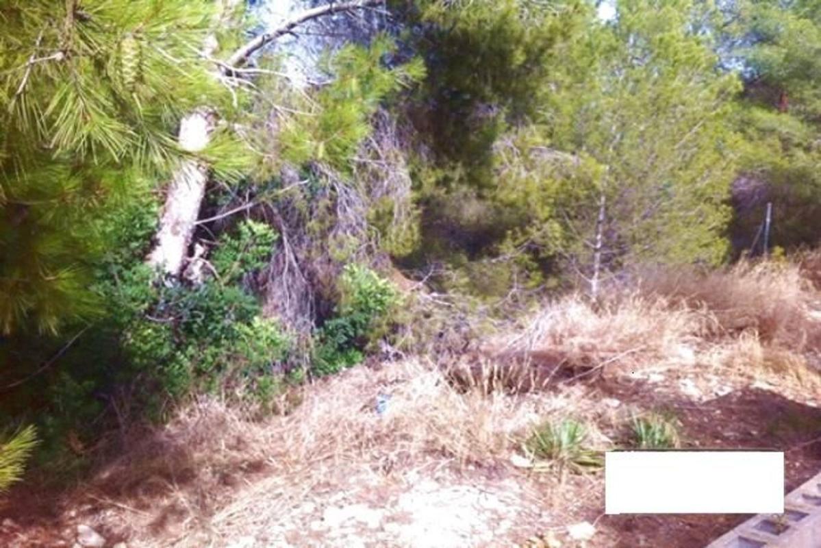 Działka na sprzedaż w Benissa, Alicante photo 5