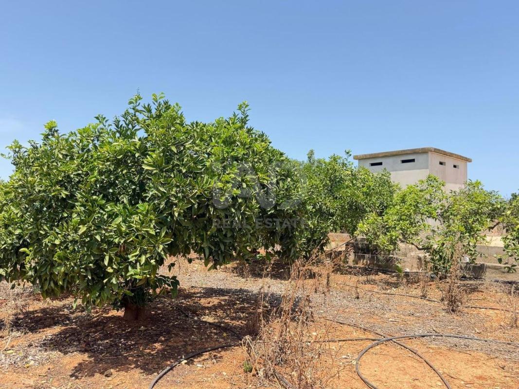 Land for sale in Ondara, Alicante photo 2