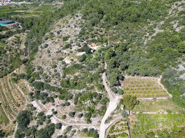 Terreno en Rafol de Almunia photo 3