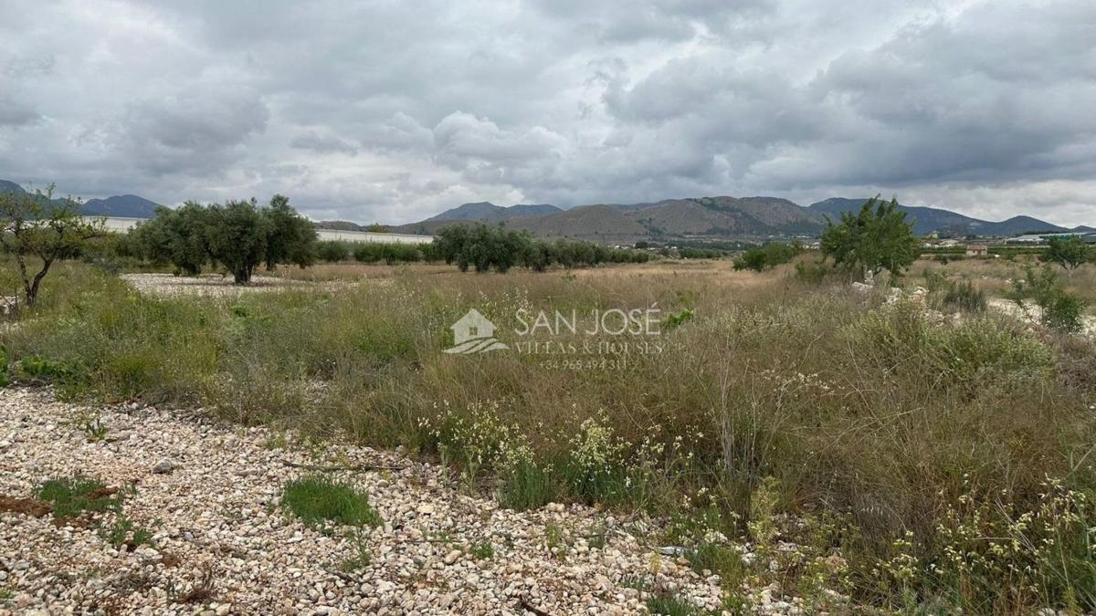 Properties for sale and rent in Spain photo 5