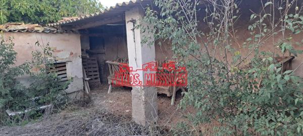 Local en Toscar, Elche / Elx photo 4