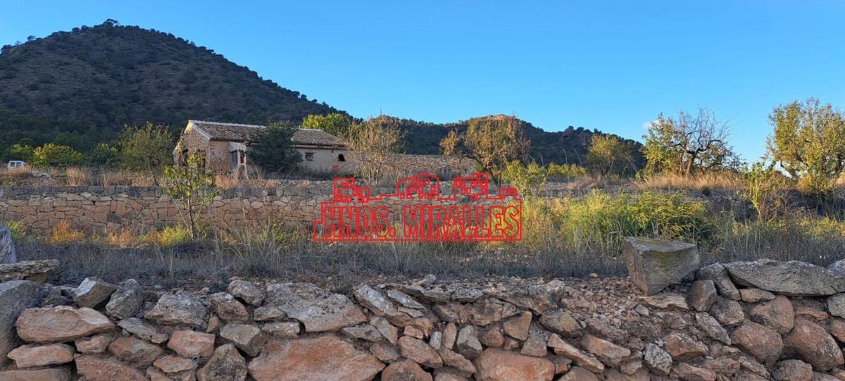Propiedades en venta y alquiler en España photo 5