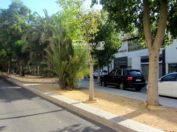 Local en Sector V-El Canal, Elche / Elx photo 4