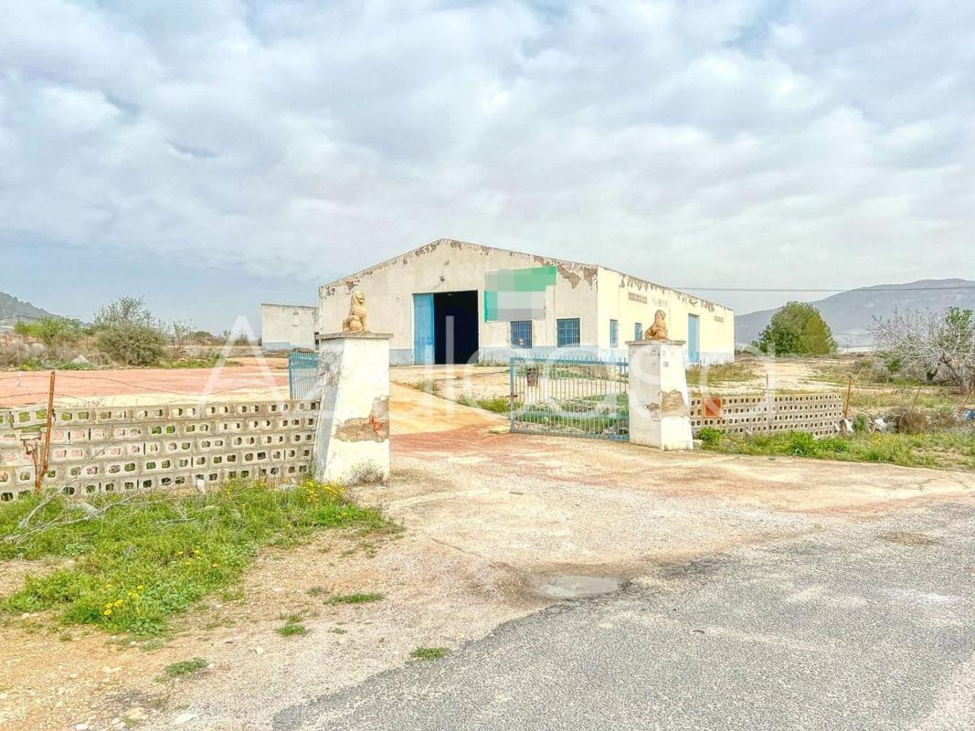 Propiedades en venta y alquiler en España photo 5