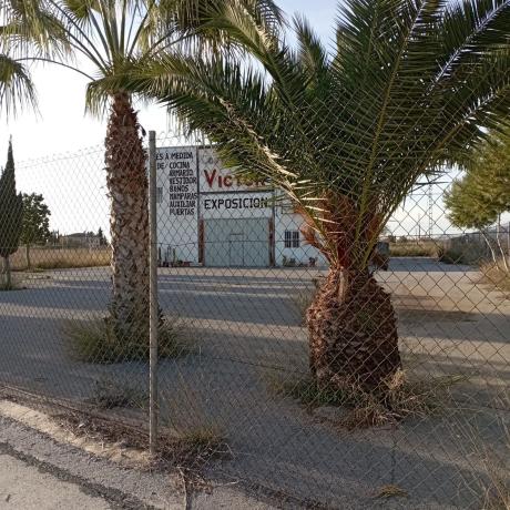 Nave en Carretera Arneva, 66, Desamparados-Hurchillo-Torremendo, Orihuela photo 4
