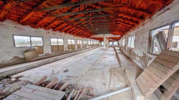 Nave en Partida Torregroses Polígono, Haygon - Universidad, San Vicente del Raspeig photo 1