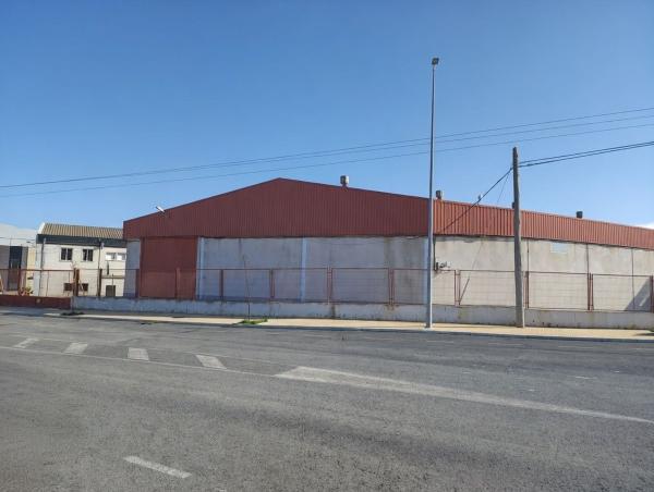 Nave en Calle Benelux, 94, Campo Alto, Elda thumbnail 3
