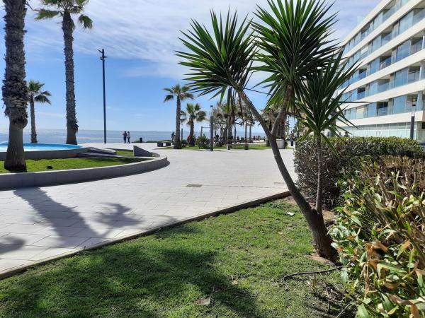 Local en Avenida de la Purisima, 55, Playa del Cura, Torrevieja photo 1