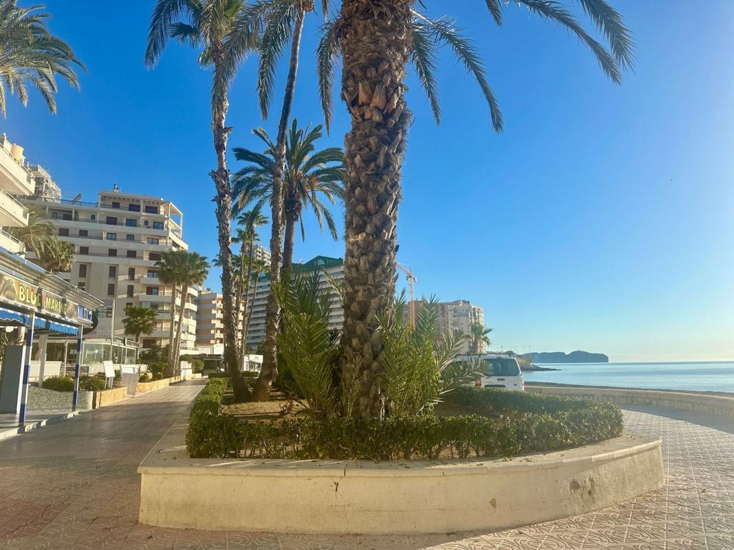 Properties for sale and rent in Spain photo 4