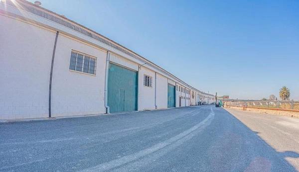 Nave en Carretera de Hurchillo, Desamparados-Hurchillo-Torremendo, Orihuela photo 1