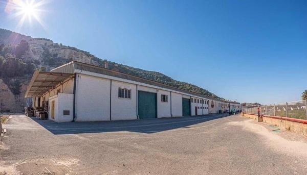 Nave en Carretera de Hurchillo, Desamparados-Hurchillo-Torremendo, Orihuela thumbnail 2