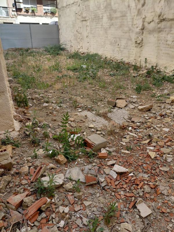 Działka na sprzedaż w Elche / Elx, Alicante photo 4