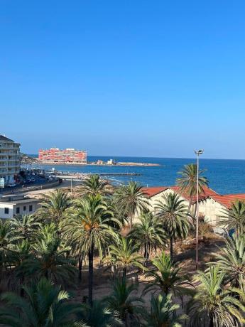 Venta de piso en Piso en Calle la Sal, 6, Playa del Cura, Torrevieja, Torrevieja
 photo 1