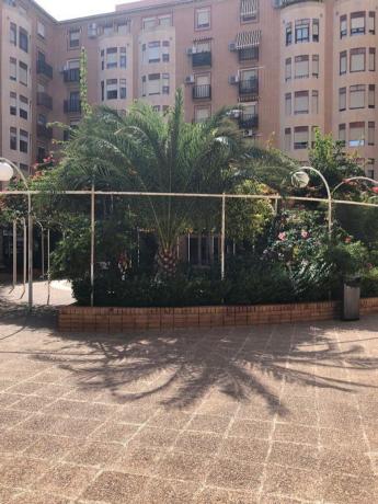 Venta de piso en Piso en Benisaudet, Alicante / Alacant, Alicante / Alacant
photo 1