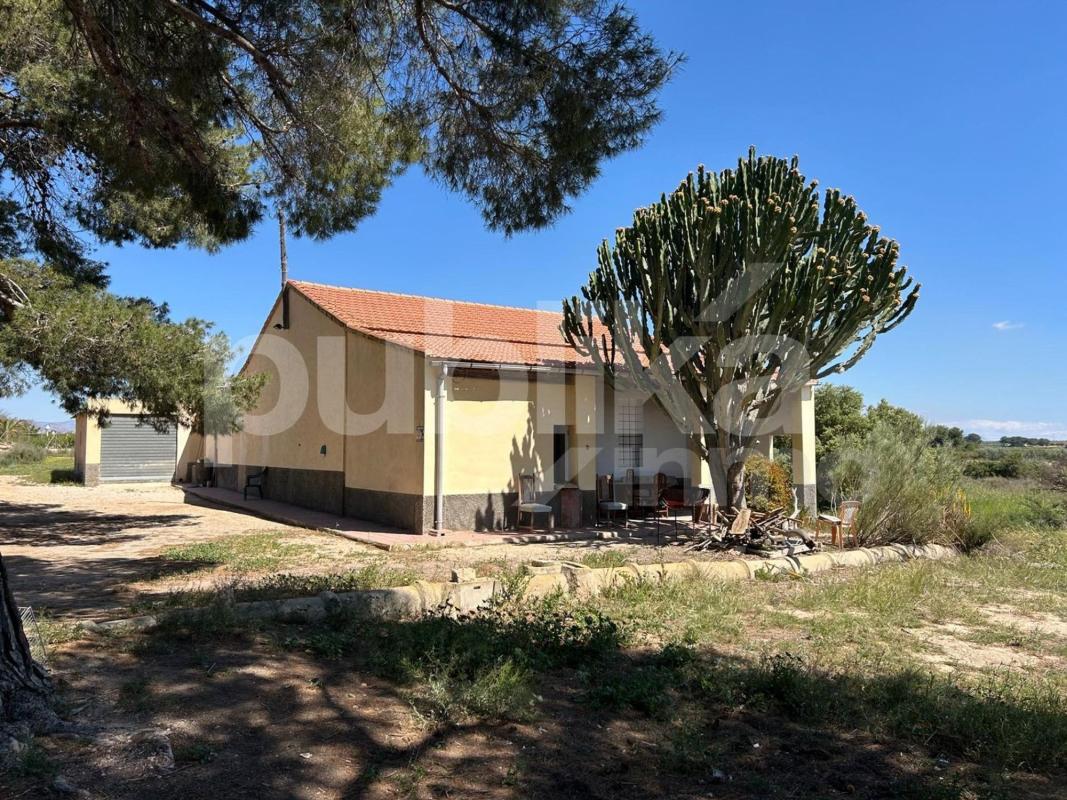 Sprzedaż działki rolnej w Finca rústica en Camino Torres de Gaitan, 40, Valverde, Elche / Elx , Elche / Elx photo 1