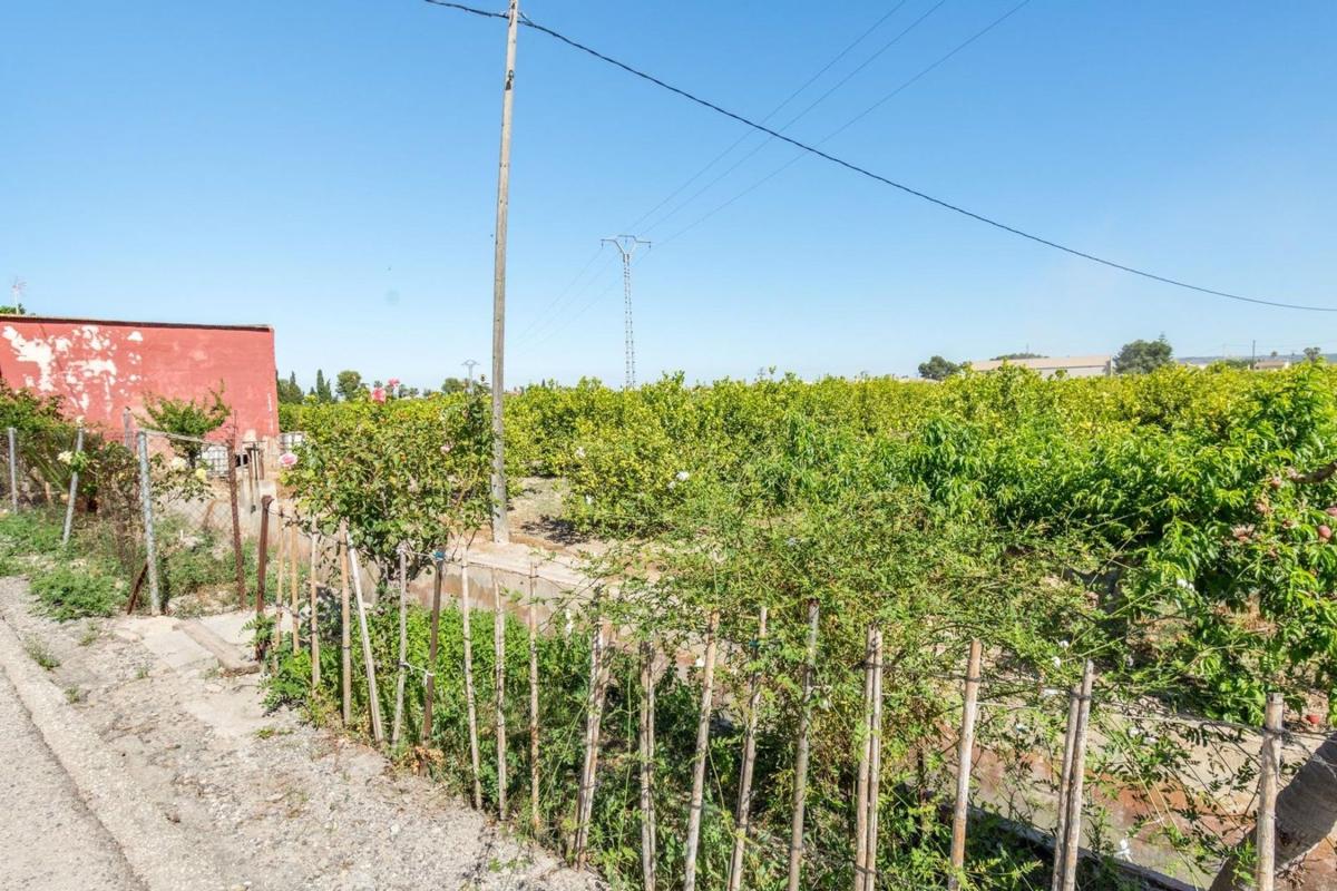 Venta de chalet independiente en Casa o chalet independiente en Carretera Catral, Callosa de Segura, Callosa de Segura
photo 4