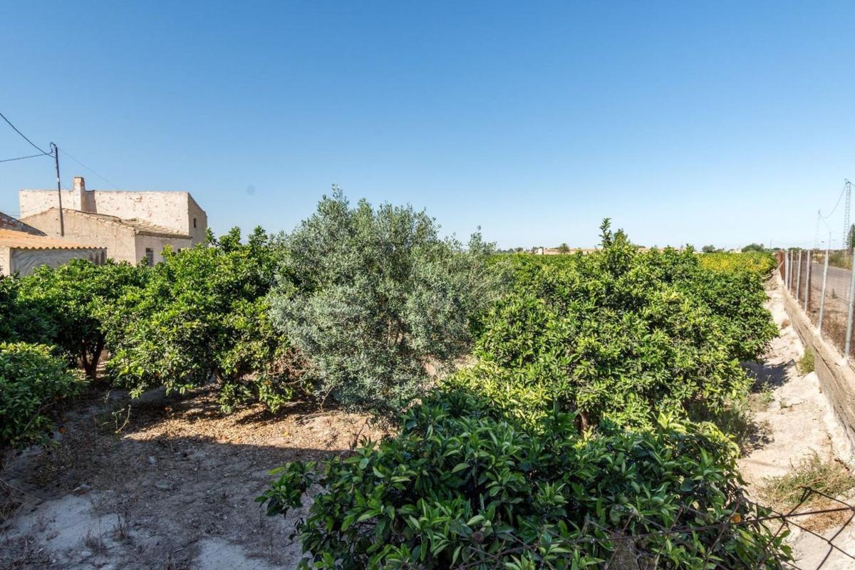 Venta de chalet independiente en Casa o chalet independiente en Carretera Catral, Callosa de Segura, Callosa de Segura
photo 5