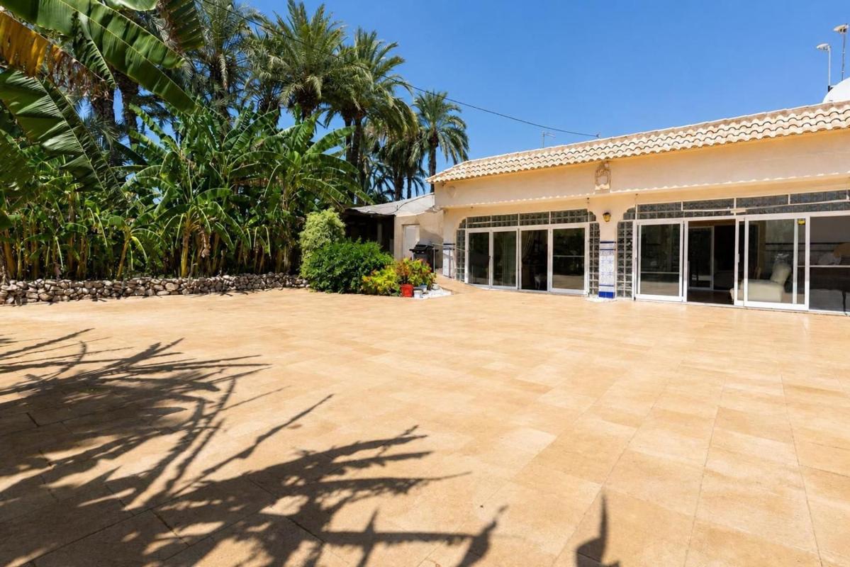 Sprzedaż niezależnego domku jednorodzinnego w Casa o chalet independiente en Partida de La Hoya, La Marina, Elche / Elx, Elche / Elx photo 5
