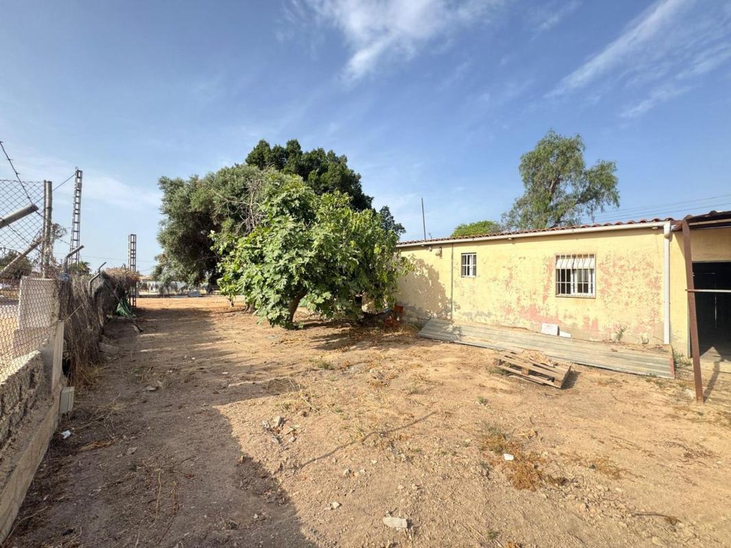 Sprzedaż działki rolnej w  Finca rústica en Torrellano, Elche / Elx , Elche / Elx photo 4