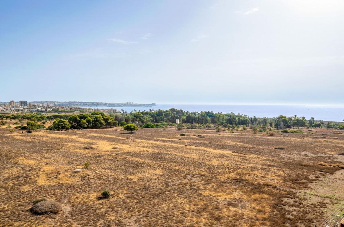 Venta de piso en Piso en Punta Prima, Torrevieja, Torrevieja
photo 5