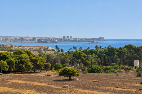 Mieszkanie na sprzedaż w  Ulica Arrecife, Torrevieja photo 1
