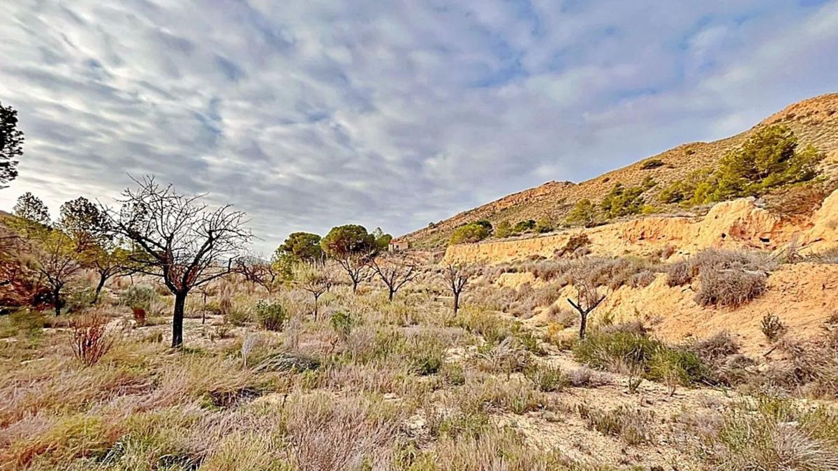 Terreno en venta en Agost, Alicante photo 5