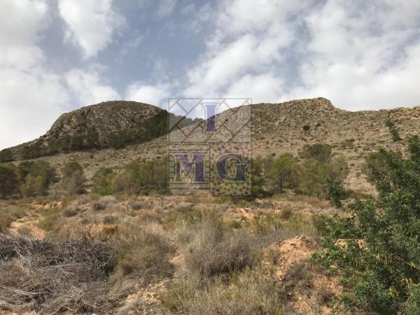 Terreno en Montepinar-La Aparecida-Raiguero, Orihuela photo 4