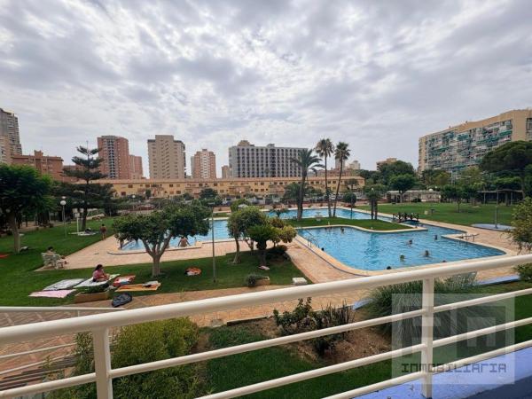 Sale of flat in Piso en Pueblo Levante, Benidorm, Benidorm
photo 1